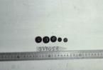 Click for 2 image(s) for this accession. FRUIT